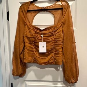 NWT WAYF blouse sheer sleeves